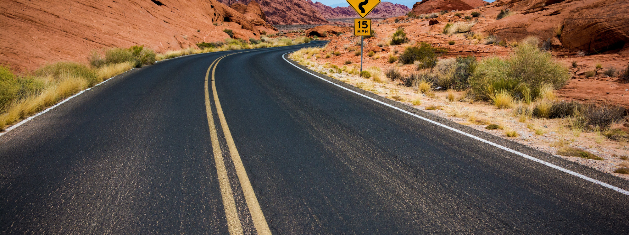 Dog Travel Checklist: What to pack - maxbone