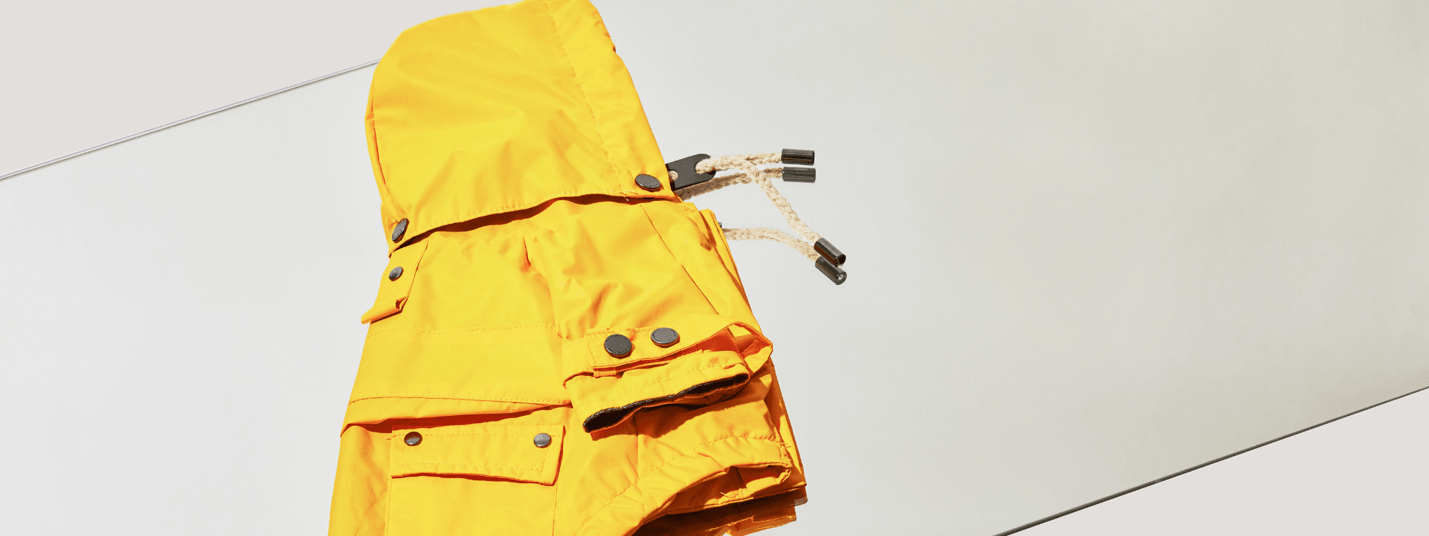 How To Keep Your Dog Dry During the Rainy Season - maxbone