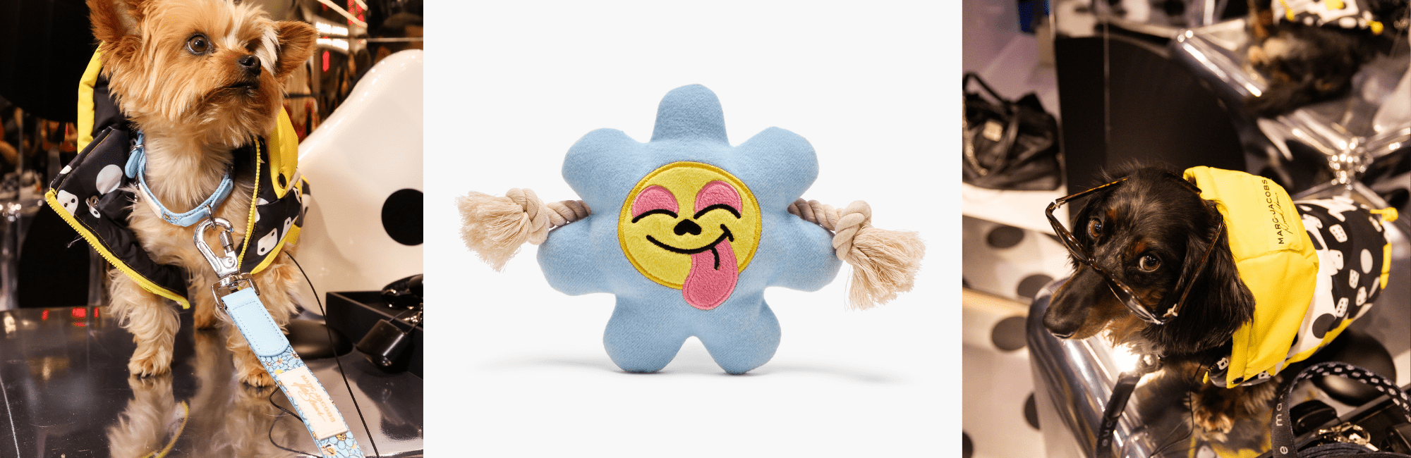 New Arrivals - maxbone